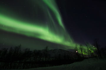 Image showing Northern Lights near Lyfjord, Norway