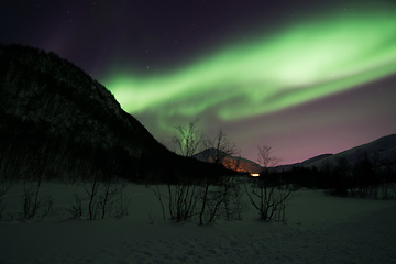 Image showing Northern Lights near Lyfjord, Norway