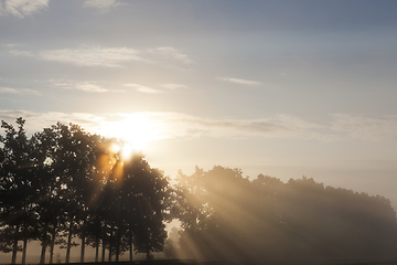 Image showing Beautiful sunbeams