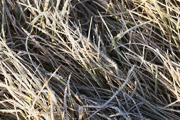 Image showing Snow drifts in winter