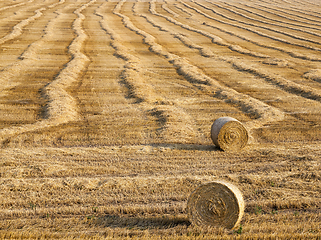 Image showing cereals stack