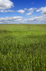 Image showing spring landscape