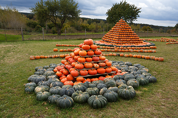 Image showing Autumn harvested pumpkins arranged for fun like pyramid