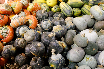 Image showing Autumn harvested pumpkins