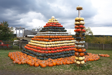 Image showing Autumn harvested pumpkins arranged for fun like pyramid