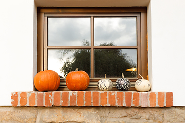 Image showing Autumn harvested pumpkins arranged on window