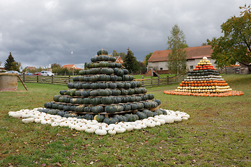 Image showing Autumn harvested pumpkins arranged for fun like pyramid