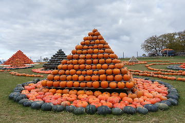 Image showing Autumn harvested pumpkins arranged for fun like pyramid