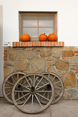 Image showing Autumn harvested pumpkins arranged on window