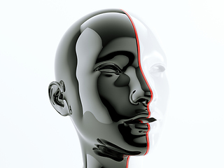 Image showing human head separated by red line as symbol of diversity