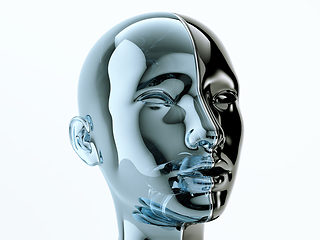Image showing Glass human head separated by line as symbol of balance and dive