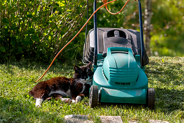 Image showing Cat sleeping at the lawnmower. 