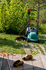 Image showing Cat sleeping at the lawnmower. 