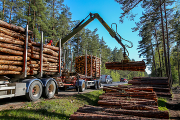 Image showing Crane loading logs in the truck. 