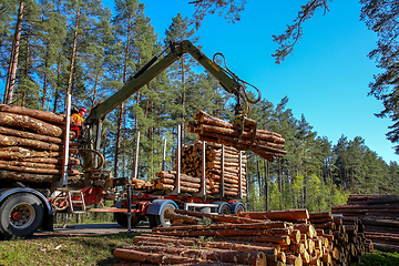 Image showing Crane loading logs in the truck. 