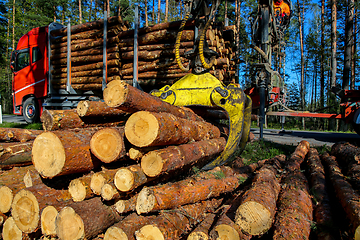 Image showing Crane loading logs in the truck. 