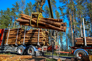 Image showing Crane loading logs in the truck. 