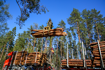 Image showing Crane loading logs in the truck. 