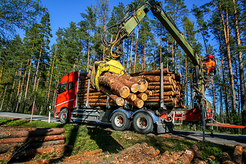 Image showing Crane loading logs in the truck. 