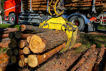 Image showing Crane loading logs in the truck. 