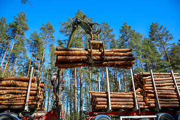 Image showing Crane loading logs in the truck. 