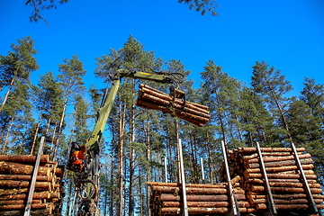 Image showing Crane loading logs in the truck. 