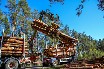 Image showing Crane loading logs in the truck. 