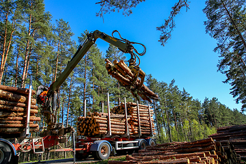 Image showing Crane loading logs in the truck. 