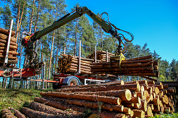 Image showing Crane loading logs in the truck. 