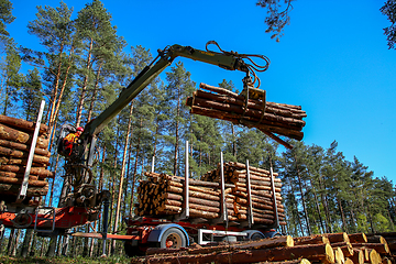 Image showing Crane loading logs in the truck. 