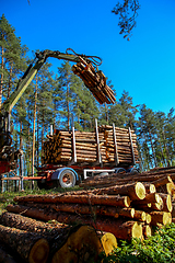 Image showing Crane loading logs in the truck. 