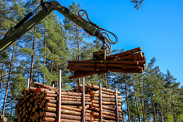 Image showing Crane loading logs in the truck. 