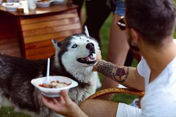 Image showing Young man and his dog at barbecue dinner on sunset time