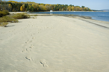 Image showing Beach