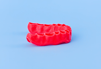 Image showing model of human gums without teeth isolated on blue