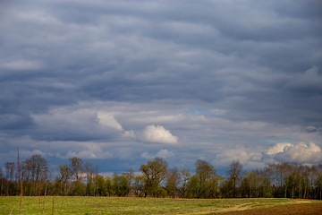 Image showing Landscape with cereal field, trees and blue sky