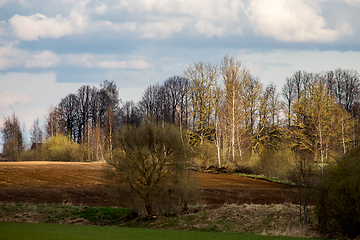 Image showing Landscape with plowed field, trees and blue sky