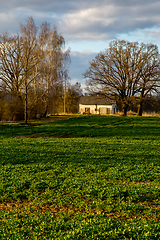 Image showing Landscape with cereal field, old farm house and blue sky.