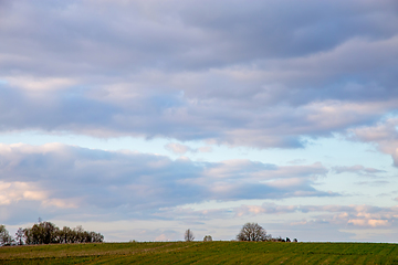 Image showing Landscape with cereal field and blue sky