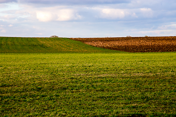 Image showing Landscape with plowed field and blue sky.