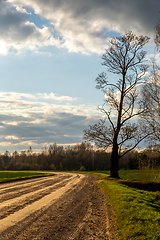 Image showing Landscape with empty rural road.