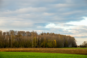 Image showing Landscape with plowed field, trees and blue sky