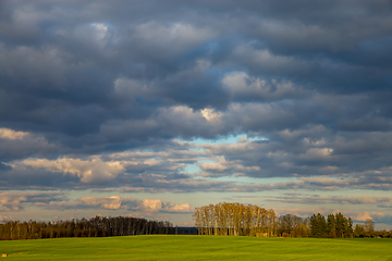 Image showing Landscape with cereal field, trees and blue sky