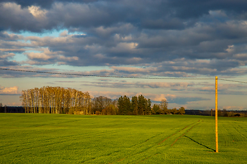 Image showing Landscape with cereal field, trees and blue sky