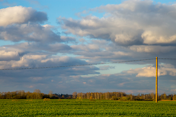 Image showing Landscape with cereal field, trees and blue sky