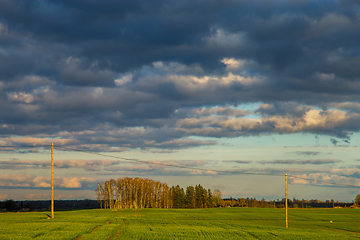 Image showing Landscape with cereal field, trees and blue sky