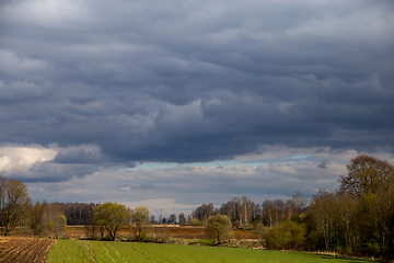 Image showing Landscape with plowed field, trees and blue sky