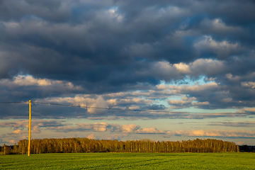 Image showing Landscape with cereal field, trees and blue sky