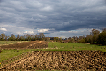 Image showing Landscape with plowed field, trees and blue sky.