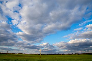 Image showing Landscape with blue cloudy sky, cereal field and trees.